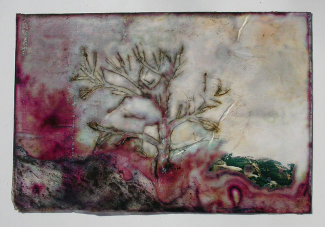 7_Utah_tree_dirt