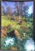 art of bidwell park